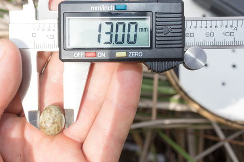 汽车臭氧机多少钱一台 汽车臭氧机多少钱一台