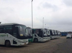 深圳布吉有多少辆汽车