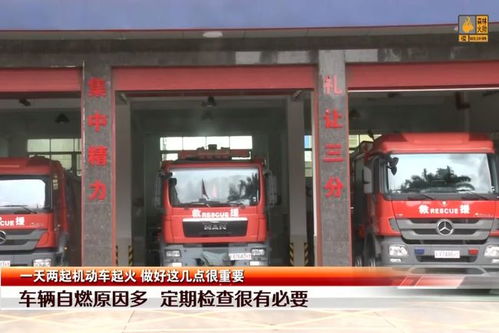 深圳布吉有多少辆汽车