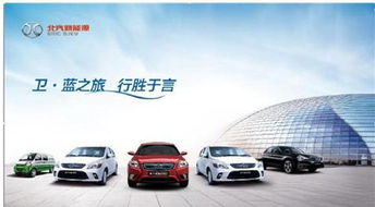 领跑新能源汽车多少价钱