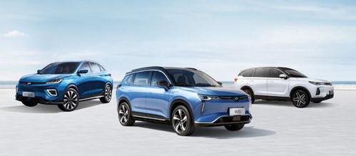 威马汽车全国排名多少