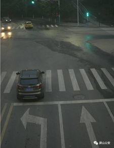 济南汽车违法代码是多少