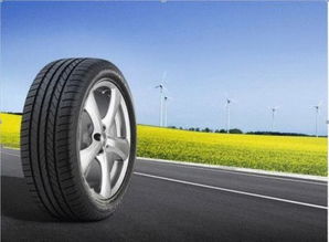 汽车打气要多少kpa 汽车打气要多少kpa