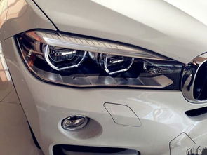 国外汽车裸车多少