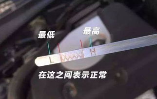 汽车机油少怎么显示多少