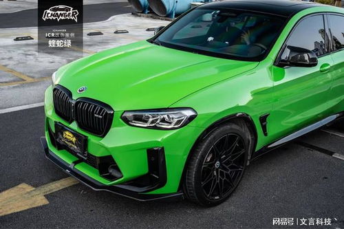 补汽车绿本要多少