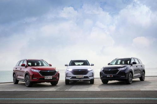 sumx7汽车多少钱