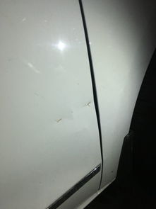 汽车抛光车门多少钱