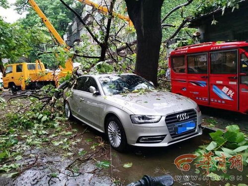 企业汽车折损费多少合理