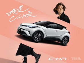 梁山丰田汽车多少钱