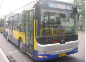 公共汽车有多少天线