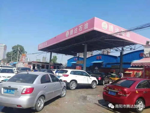 今天南阳汽车限多少号