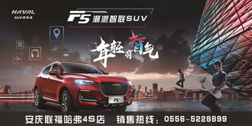 太湖至安庆汽车价格多少