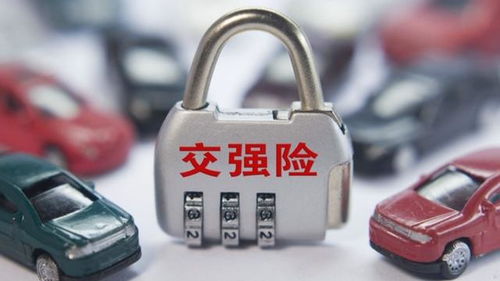 汽车强制险多少钱 汽车强制险多少钱