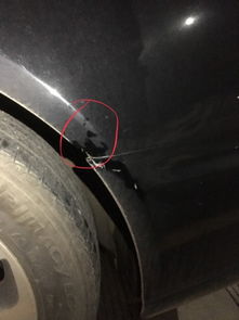 汽车叶子板掉了多少钱