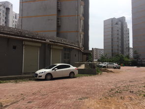 舞钢汽车站油价多少