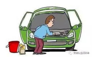 汽车定时清理多少钱