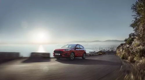 现在还有多少种柴油汽车