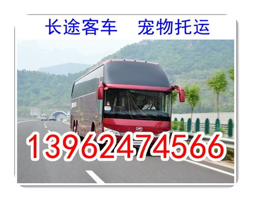 郑州到泌阳汽车多少钱 郑州到泌阳汽车多少钱
