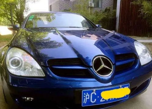 汽车豹子号多少钱