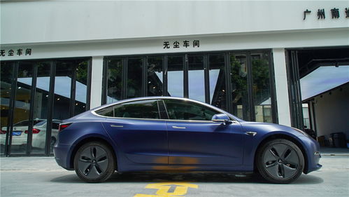 汽车贴膜分多少区域