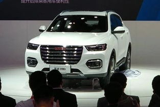 山东菏泽哈佛汽车多少钱