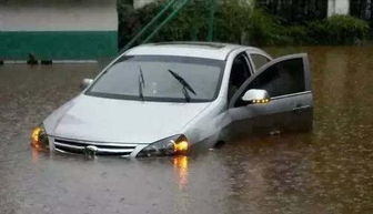 汽车逃生最佳时间是多少 汽车逃生最佳时间是多少