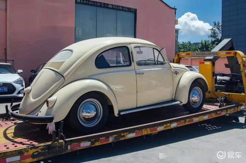 瑞安到郑州汽车多少钱