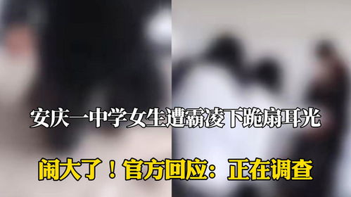 女子在埃及被酒店刁难硬气回应