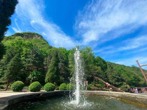 佛山到攸县汽车费多少