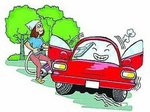 个汽车剥落有多少 个汽车剥落有多少