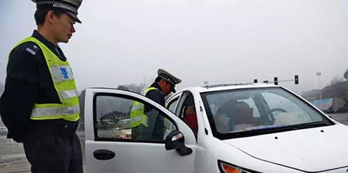 汽车违章交多少钱