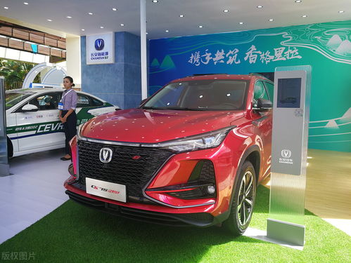 比亚迪是多少排量的汽车