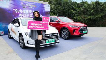 比亚迪是多少排量的汽车