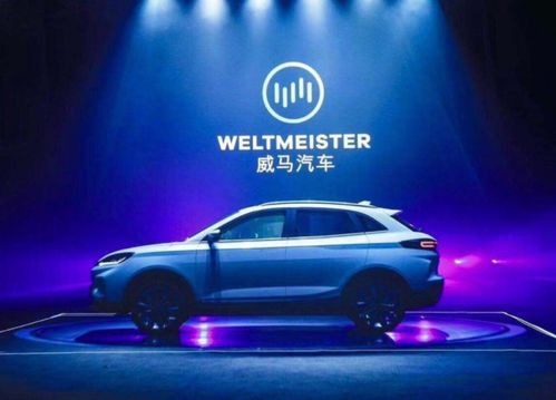 肇庆汽车年费多少钱