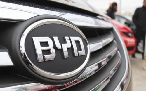 现代汽车向武汉捐了多少