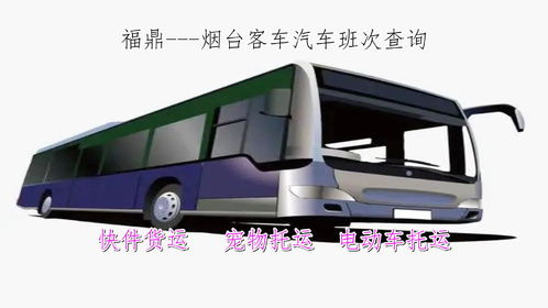 宁化到泉上汽车多少点