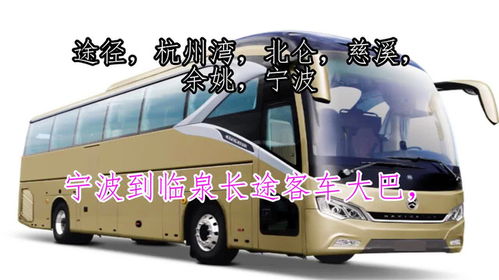 宁化到泉上汽车多少点