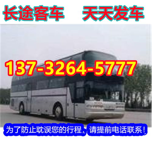 成武到东营汽车多少钱