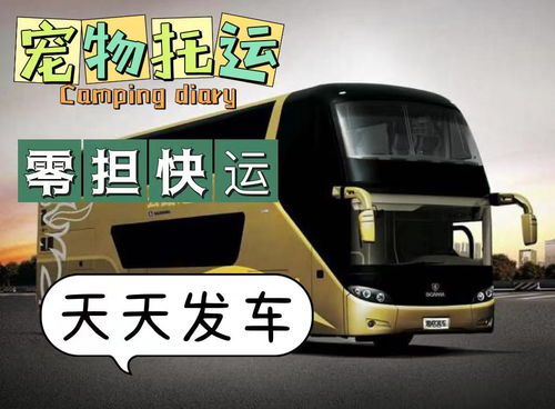 成武到东营汽车多少钱