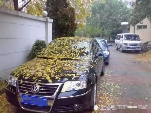 安仁汽车报废补贴多少