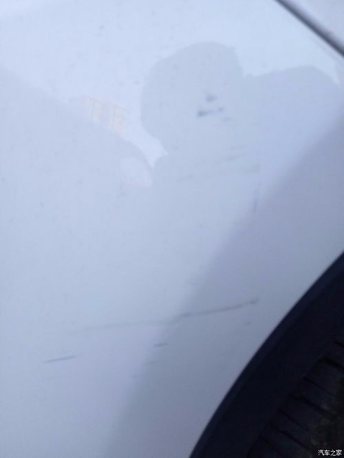 学汽车划痕处理多少钱