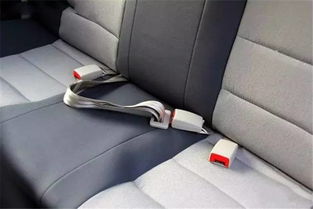 汽车安全带多少长