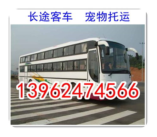 周口到李寨汽车多少钱