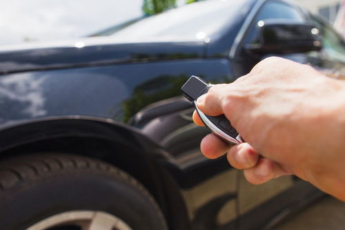 汽车绿本丢了怎么补办需要多少钱