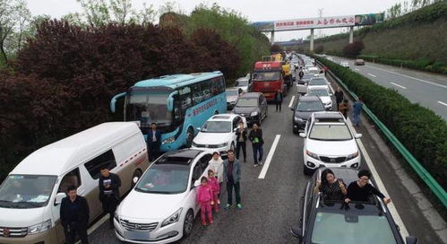 永定到南靖汽车多少公里