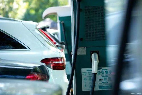 普通汽车有多少种颜色