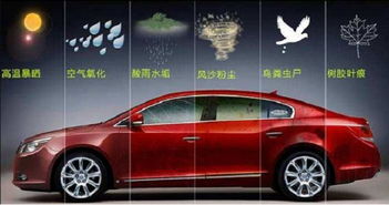 汽车蜡有多少种