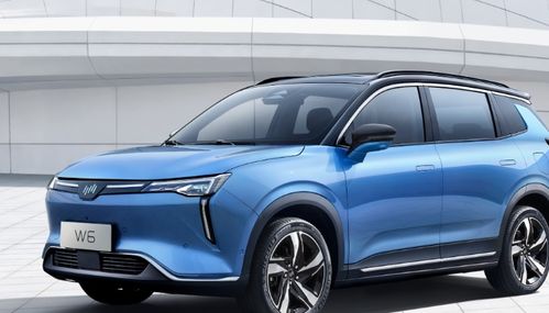 威马汽车销售月收入多少