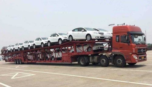 汽车托运宠物要多少钱